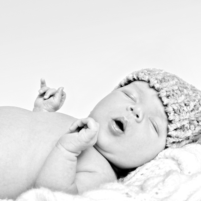 newborn photography melbourne eloh photography